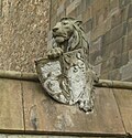 Sher (o'ngdagi)