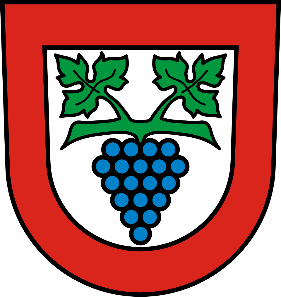 Fayl:DEU Büsingen am Hochrhein COA.svg