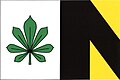 {{{rasmiy_nomi}}}ning bayrogʻi
