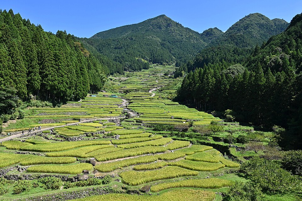 Fayl:Yotsuyanosenmaida.jpg