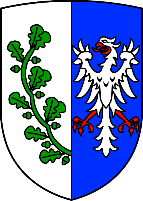 Fayl:DEU Saalstadt COA.svg