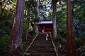 Horaiji togʻi (Niyomon)