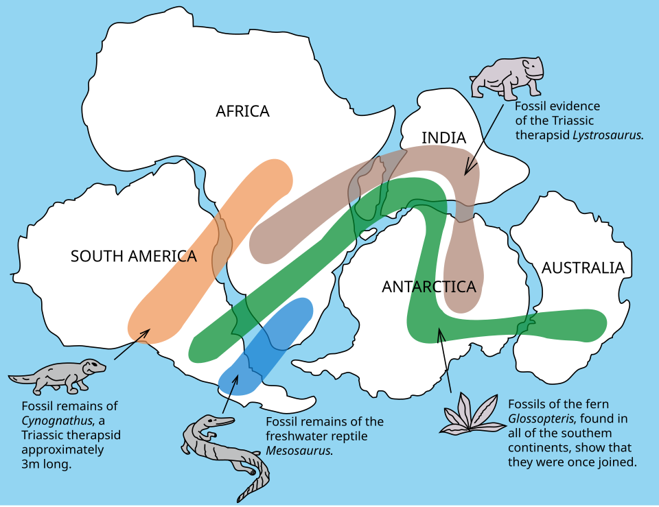 Fayl:Snider-Pellegrini Wegener fossil map.svg