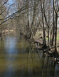 Vustrauer Rhin Fehrbellin-Vustrauda