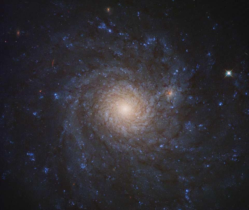 Fayl:NGC 4571 - HST WFC3.png