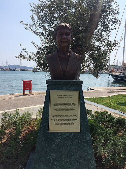 Fayl:TürkanSaylanBodrum1.jpg