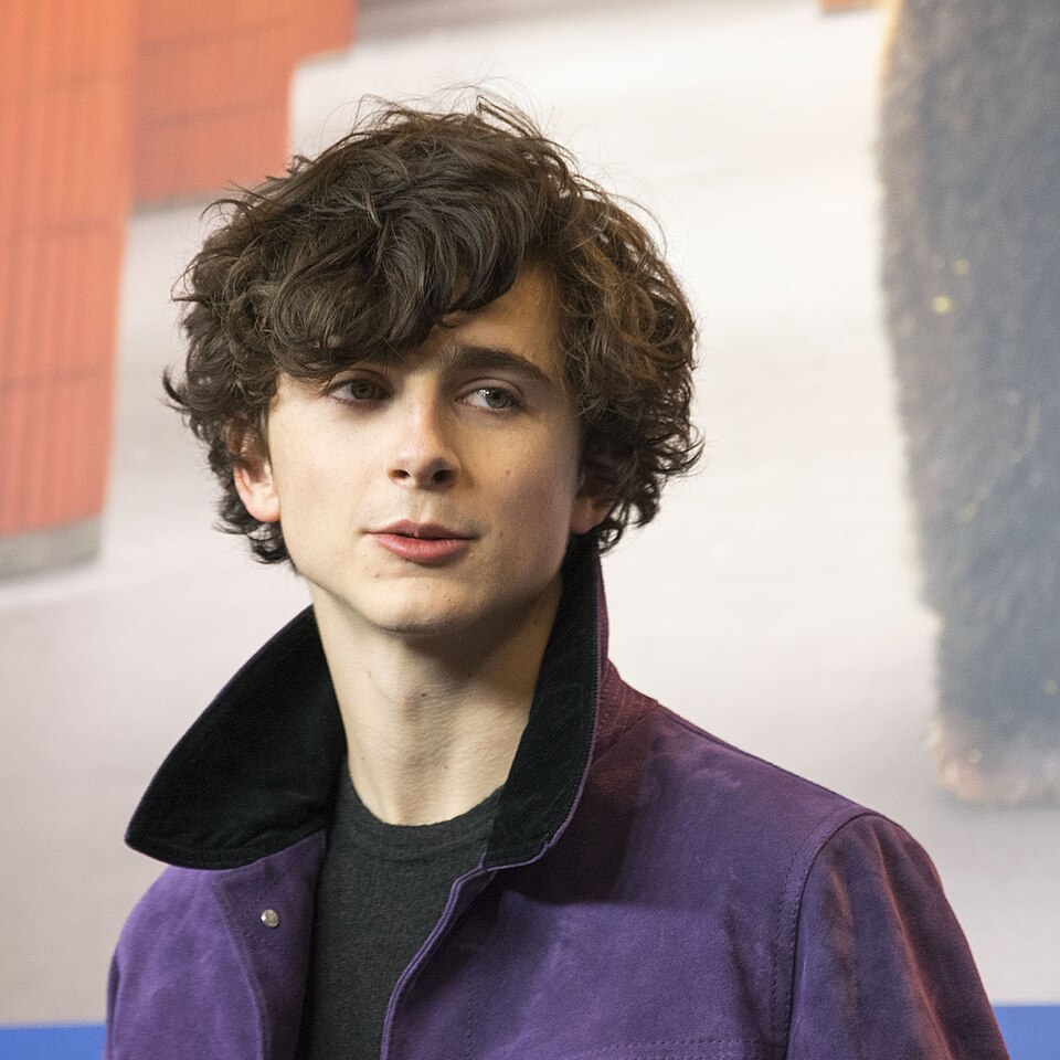 Fayl:Timothée Chalamet at Berlinale 2017.jpg