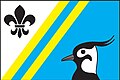 Flag of Čejkovice