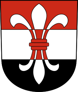 Fayl:CHE Schönenwerd COA.svg