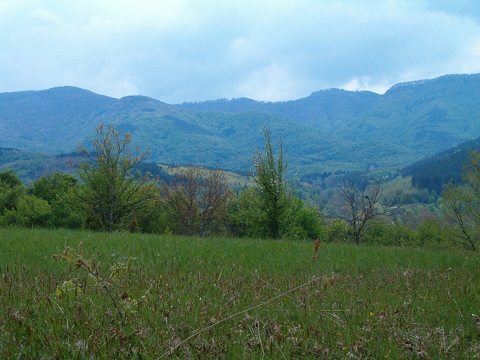 Fayl:Mlechevo-landscape-1.jpg