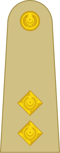 Fayl:OF-1(B) Pakistan Army.svg