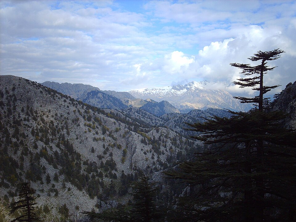 Fayl:- panoramio (2785).jpg