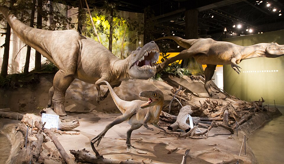 Fayl:Albertosaurus Tyrrell.jpg