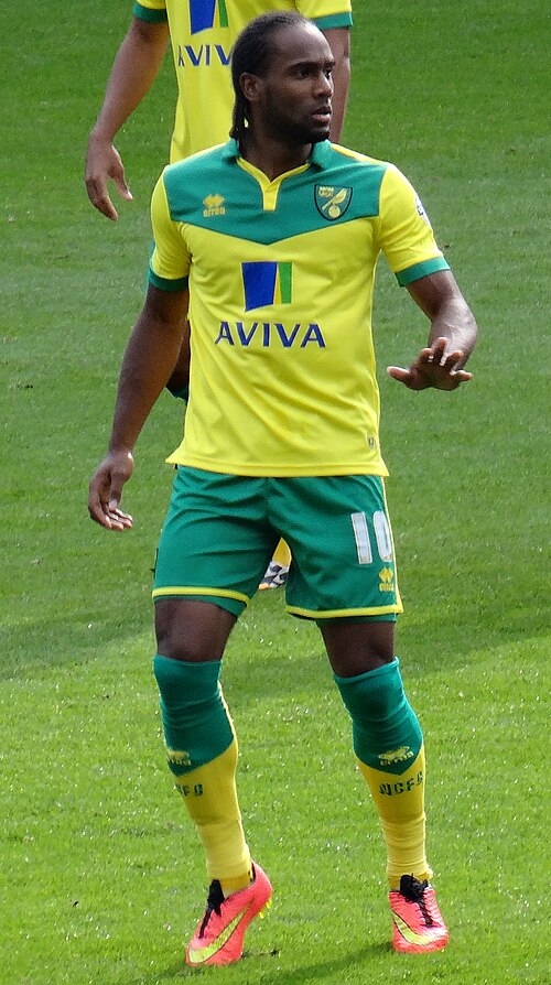 Fayl:Cameron Jerome norwich 2014.jpg