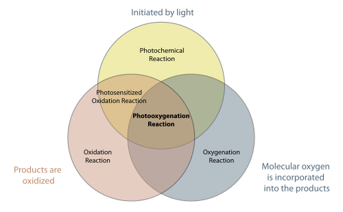 Fotooksigenatsiya venn diagrammasi