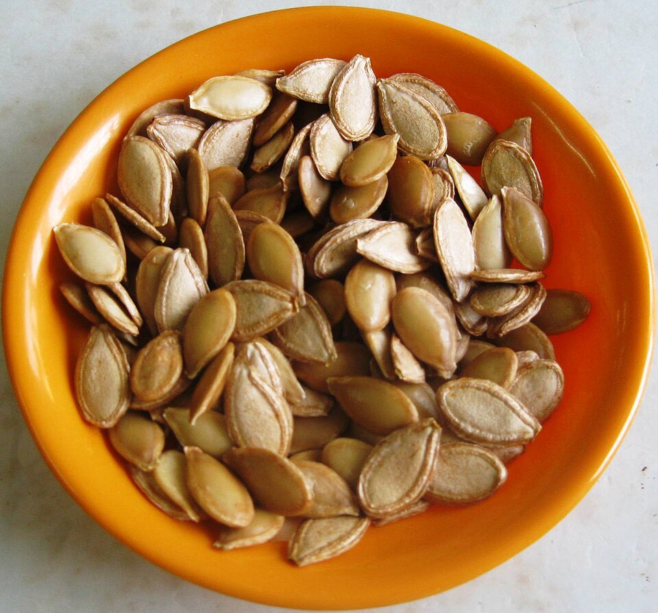 Fayl:Pumpkin Seeds (matured).jpg
