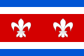 Flag of Zdice