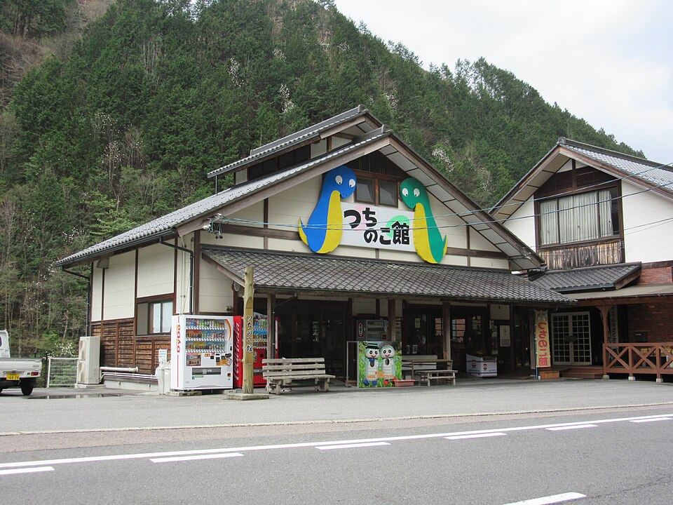 Fayl:Tsuchinoko kan.jpg
