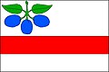 {{{rasmiy_nomi}}}ning bayrogʻi