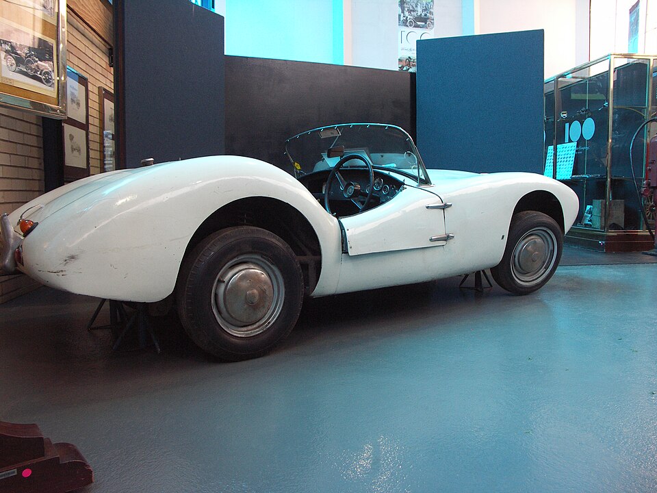Fayl:Protea car-002.jpg