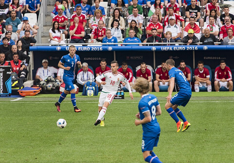 Fayl:1 Zoltán Stieber.jpg