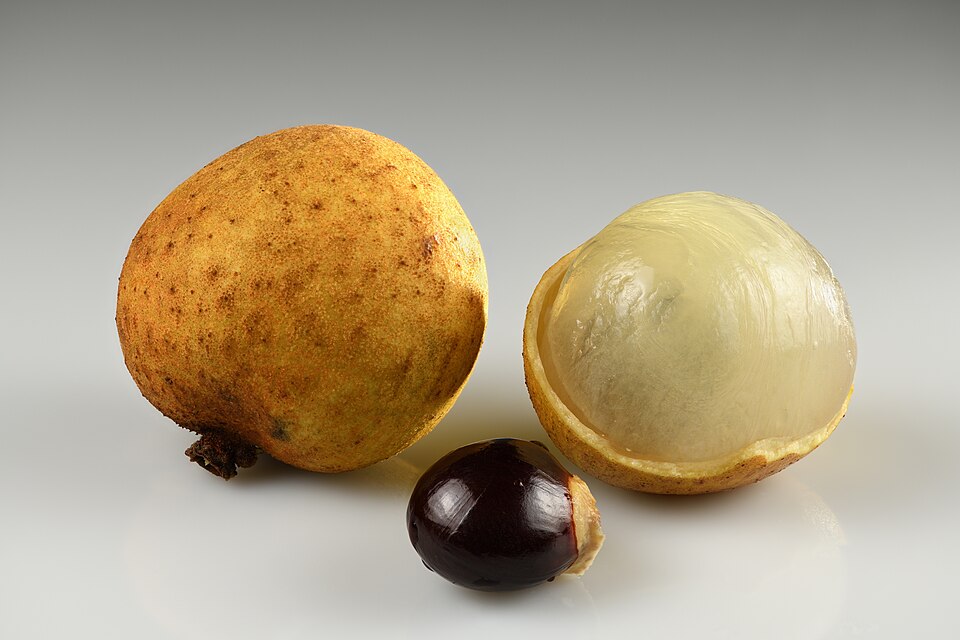 Fayl:Longan fruits and seed.jpg
