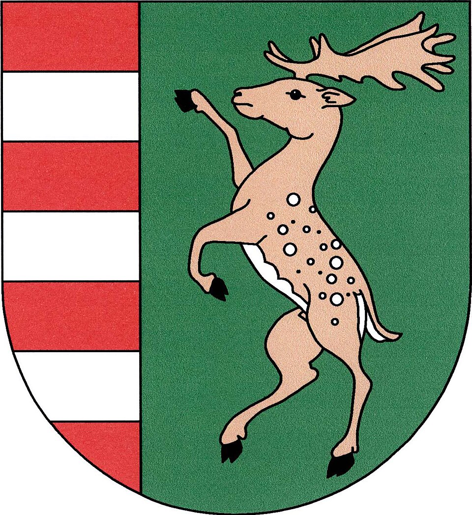 Fayl:Okounov CoA.jpg