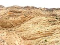 Salala landshafti