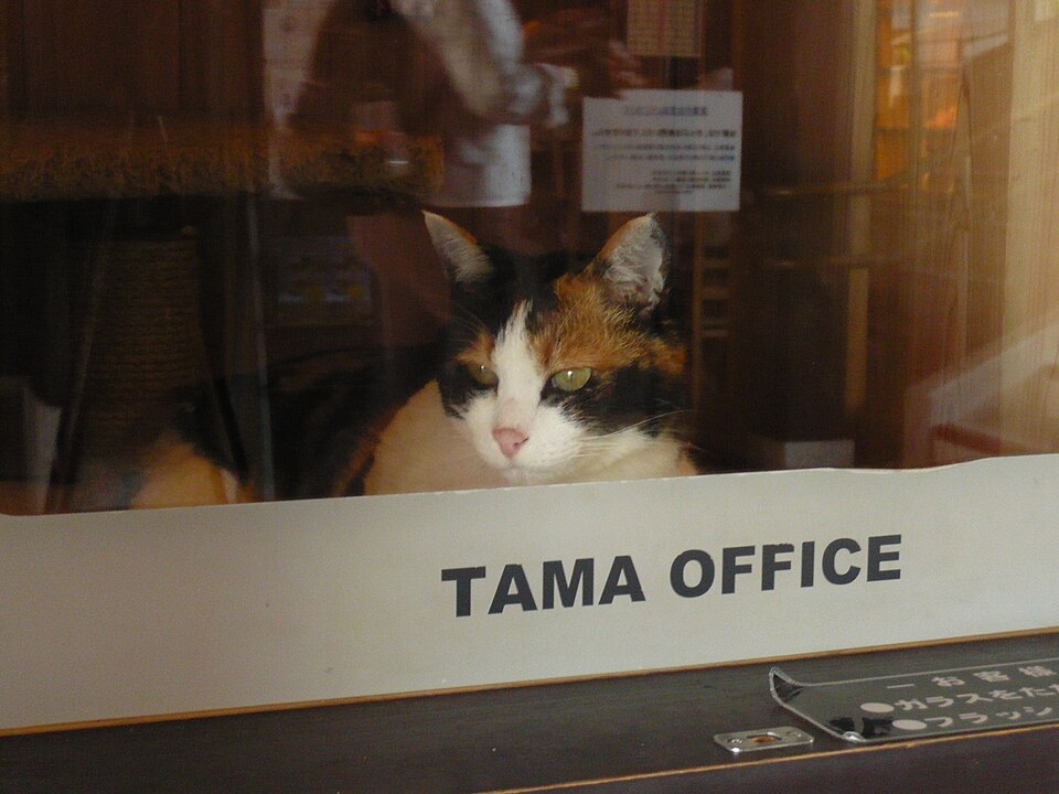 Fayl:Stationmaster Tama 20110715.jpg