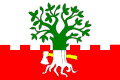 {{{rasmiy_nomi}}}ning bayrogʻi