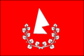 Česká