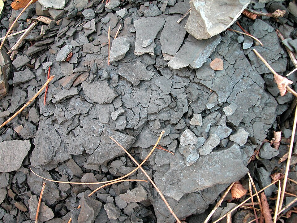 Fayl:Shale 8040.jpg
