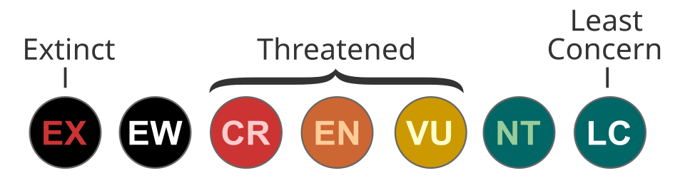 Fayl:Status iucn3.1.svg