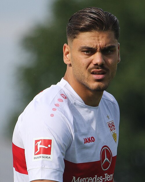 Fayl:Dinos mavropanos.jpg