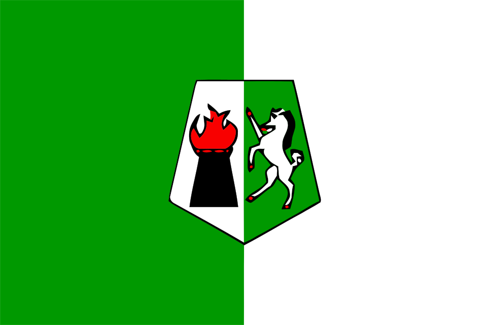 Fayl:Flag of Nador province.svg
