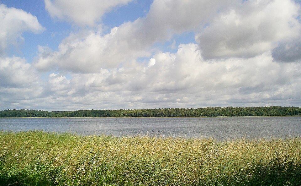 Fayl:Kisajno lake.jpg