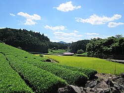 Skyline of Shirakawa