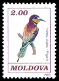 Moldova markasidagi Koʻkqunoq