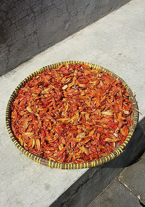 Fayl:Sundried chilli.jpg