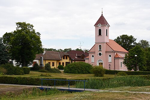 Ctidružice