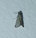 08:32, 2025-yil 16-mart dagi versiya uchun tasvir
