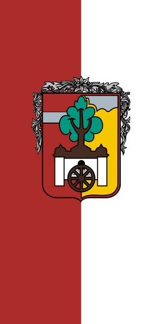Fayl:Flag of Pácin.svg