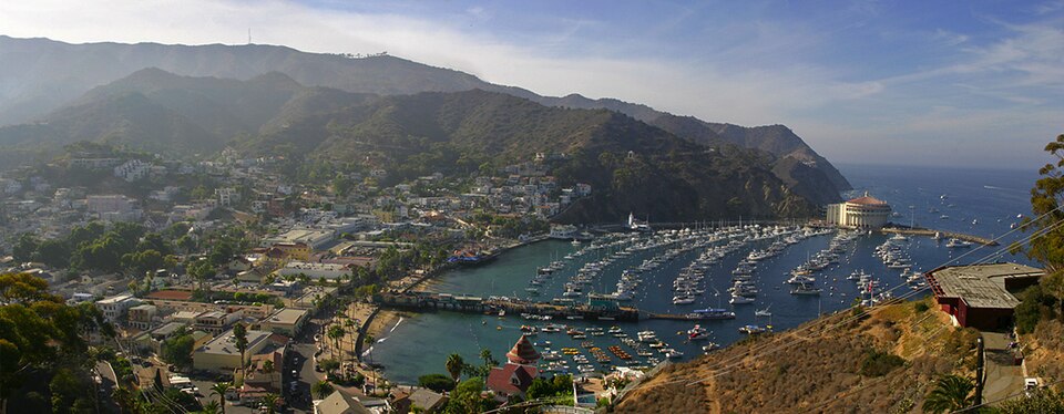Fayl:Lightmatter Avalon Bay.jpg