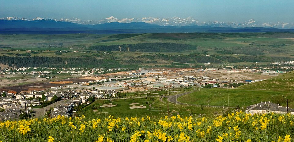 Fayl:Cochrane-Szmurlo.jpg