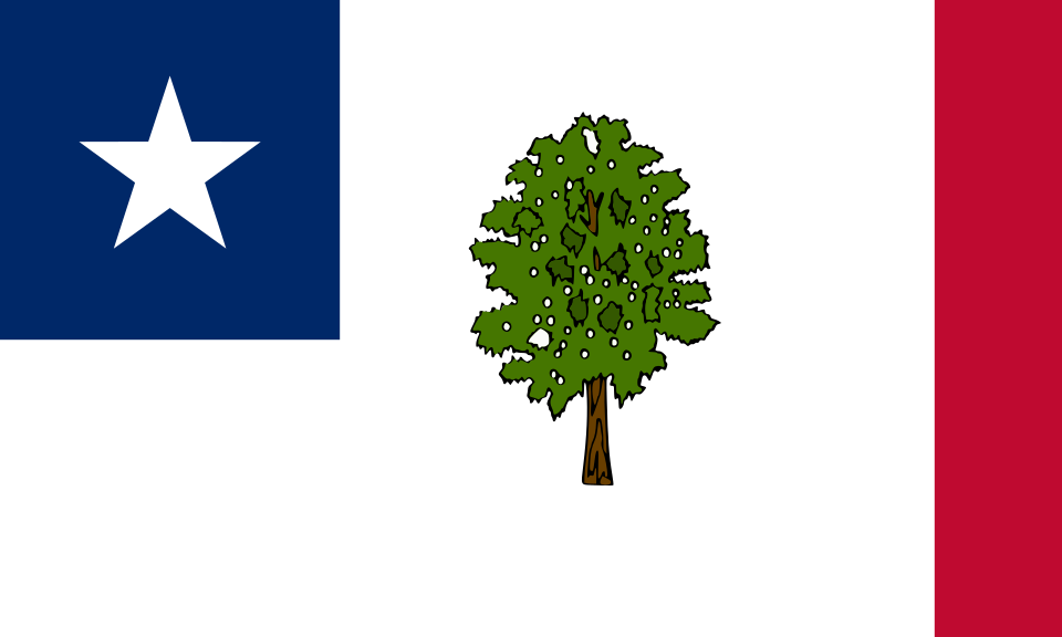 Fayl:Flag of Mississippi Variant (1861).svg