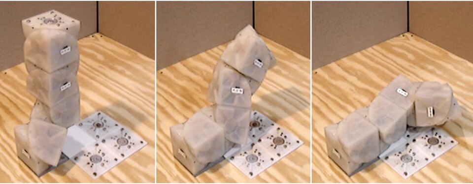 Fayl:MolecubesInMotion.jpg