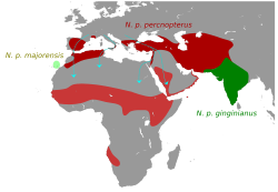 Distribution of the three subspecies