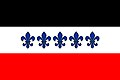 {{{rasmiy_nomi}}}ning bayrogʻi