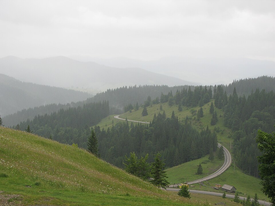Fayl:Bukovina.JPG