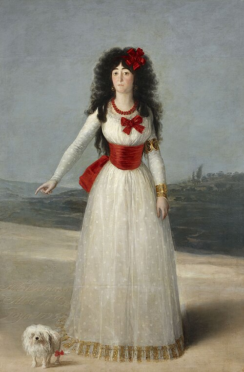 Fayl:Goya Alba1.jpg